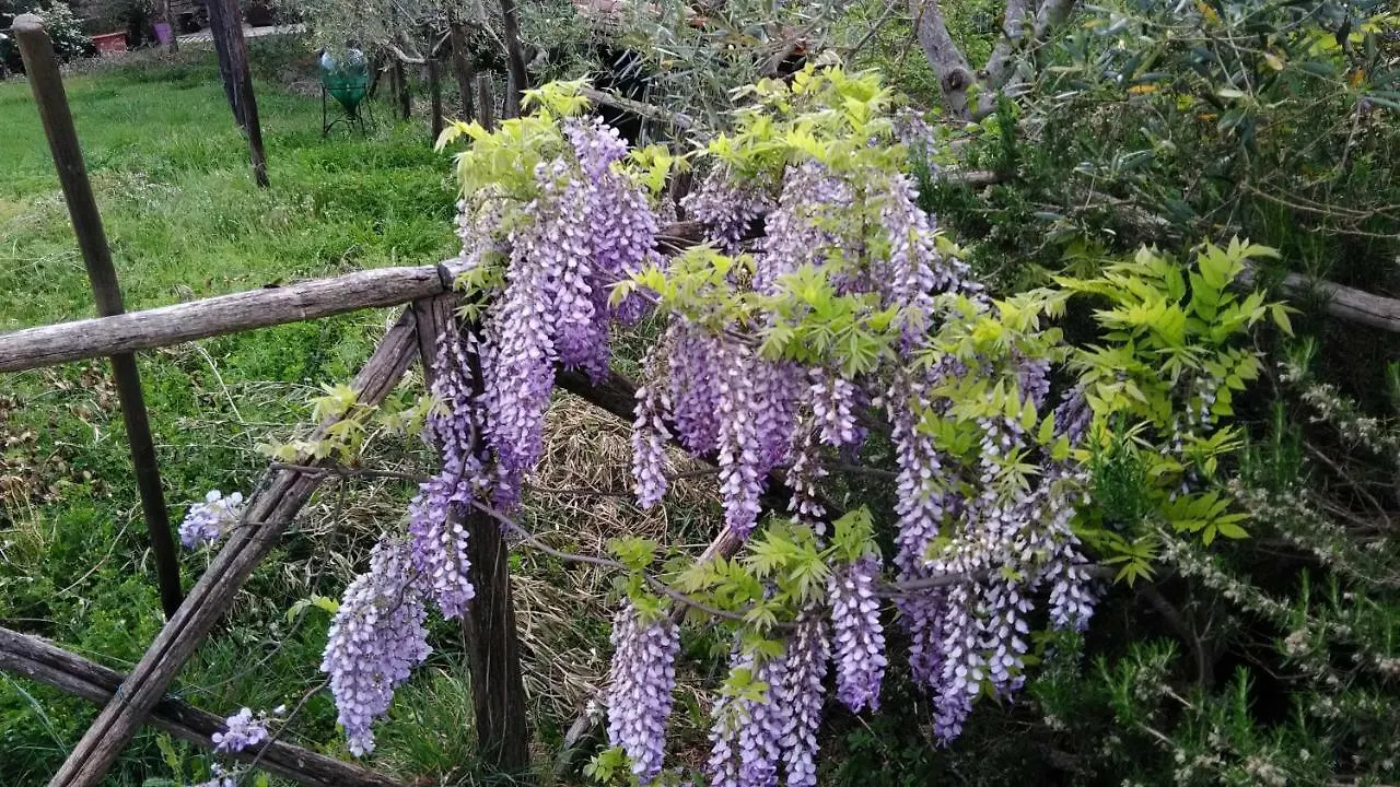 Agriturismo Podere Casetta Monterotondo  Italy